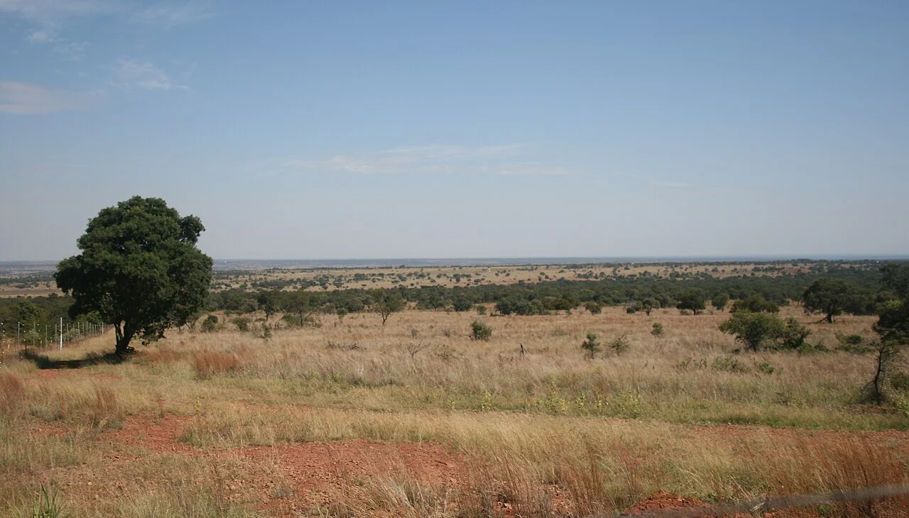 Dinokeng landscape viewed from Waboomhoogte — Dinokeng portion of the combined profile